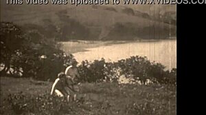 dark lantern presents vintage women's erotic confessions