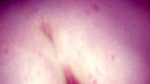 Hey Anne, wanna show off our private porno stash?