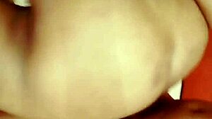 sundaydogood614 update 339 video from july 22 2024