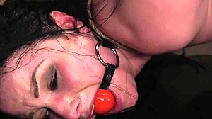 Does this huge ass slave submit to anal training in the dungeon?