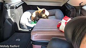 Gold Coast Holiday Vlog Adventures