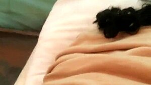 Dozier313 boldly ass fucks ebony BBW