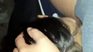 we lick wet pussies in the barn