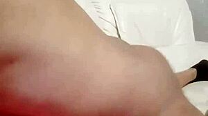 Sundaydogood614 Update 841 Video From March 17 2025