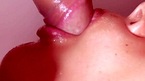 Japanese Blowjob Close-Up