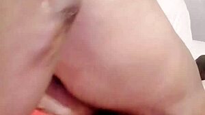 Sundaydogood614 Update 841 Video From March 17 2025