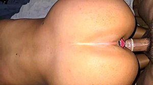 Doggystyle Plug Anal In My Ass Sex