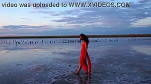 Scenic walk at elton salt lake sunset