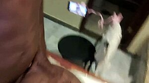 Eating The Ass Of This Delicious Whore In Doggy