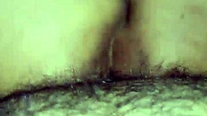 Enjoy rich reverse cowgirls with big ass woman