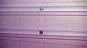 the parolee pt 2 with blonde ashley rose in wrestling action 😊