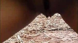 lil country girl in sugarcane feild dancin funk and gettin fucked gud