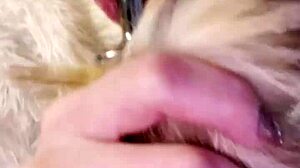 i went wild with a butt plug in my ass close up and ended up squirting everywhere