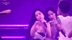 Born Pink Blink Concert Highlights Asian Stars