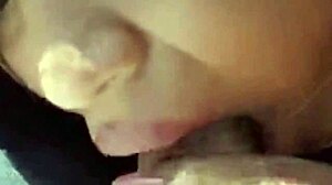 Project 002 Detailed Overview