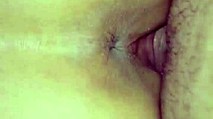 i put her on all fours, she gave me her cunt passionately.