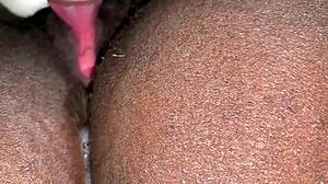 that tyson fight felt so unfair