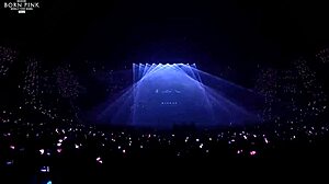 Born Pink Blink Concert Highlights Asian Stars