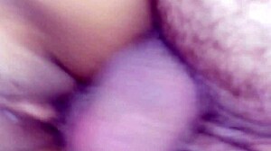 Mexican Wife In Various Scenes