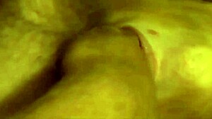 want to see dicks cumming in mouths? check this compilation out!