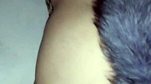 The Rich Little Fox Is Here