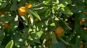 The free sfw version of my first ever pornlog