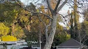 The free sfw version of my first ever pornlog