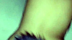 The Rich Little Fox Is Here