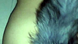 The Rich Little Fox Is Here