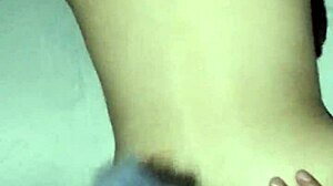 The Rich Little Fox Is Here