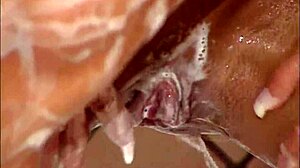 Denise Masino And Lynn Mccrossin Flex Muscular Bodies