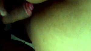 Pes na lepo rit 😍