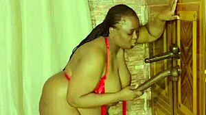 sundaydogood614 update 948 vid 20250405 193442 5.4.2025