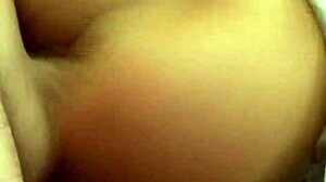 transfer of papers or just pussy play? 😜