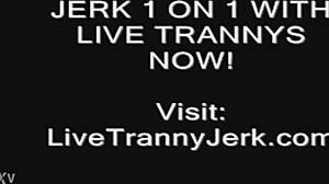 Shemale Cums On Legs And Feet Teasingly