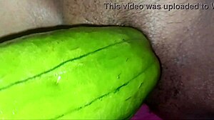 Amateur Babe Gets Pleasured Orally