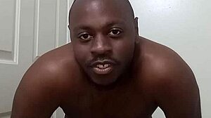 I Learned Bathroom Etiquette from My Pet Dog. Showing Anus and Mess-Free Tips.