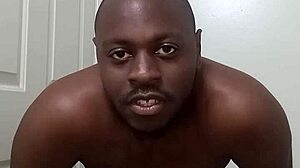 I Learned Bathroom Etiquette from My Pet Dog. Showing Anus and Mess-Free Tips.