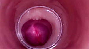 female insemination captured by internal camera during deep release