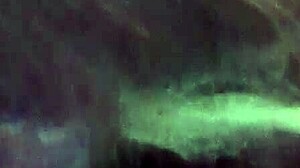 i messed up this shemale blowjob oral scene with transsexual action