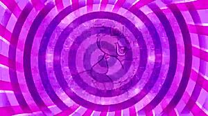 Follow my jerk off instructions