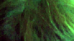 i messed up this shemale blowjob oral scene with transsexual action