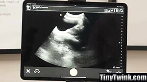 可愛い茶髪ティーン18+継娘がステップダッドのウィル・パウンダーに激しく犯される