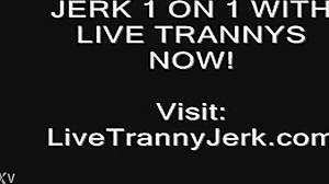 שמלה גומרת מפתה על רגליים וכפות רגליים