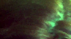 i messed up this shemale blowjob oral scene with transsexual action