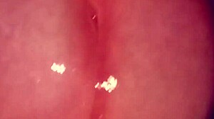 glande baboso masturbating thinking of you