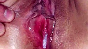 Hey Sara, ready for another hot creampie?