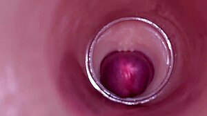 女性受精在深层释放期间由内部摄像头捕捉