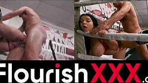 payton preslee ties up danny mountain for intense boxing session. squirting action follows!