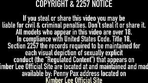 pawg kimber lee reveals big pussy in lingerie